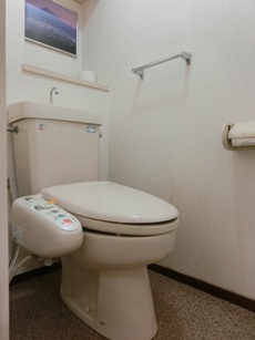 千葉市緑区　S様邸　トイレ改修工事　施工前