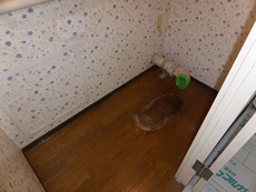 エステホーム　市原市　トイレ改修工事事例　施工中